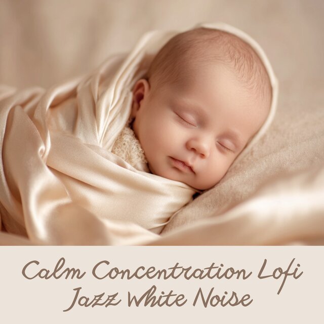 Calm Concentration Lofi Jazz White Noise