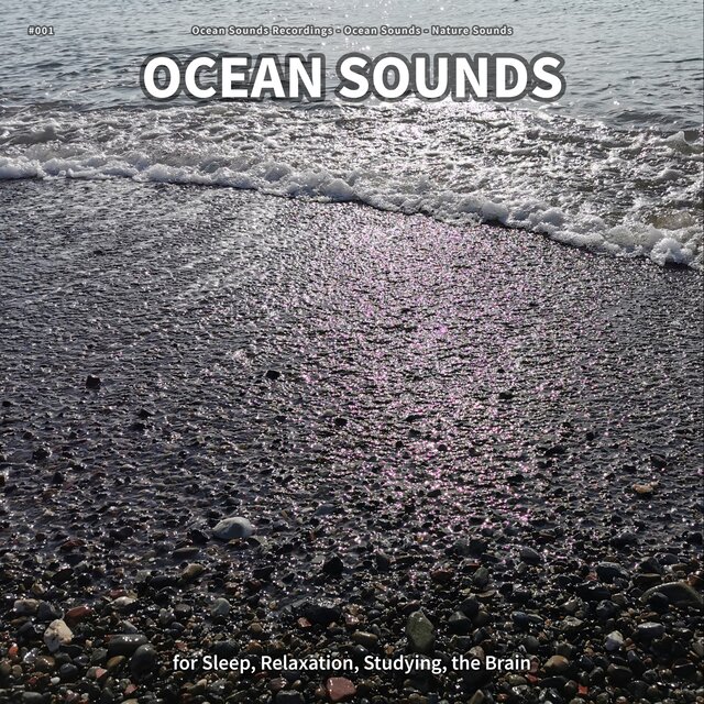 #001 Ocean Sounds for Sleep, Relaxation, Studying, the Brain