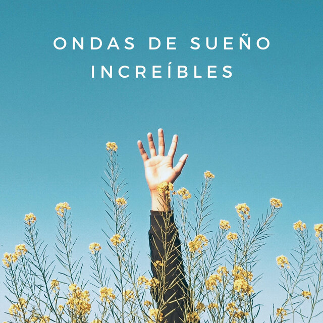 Ondas De Sueño Increíbles