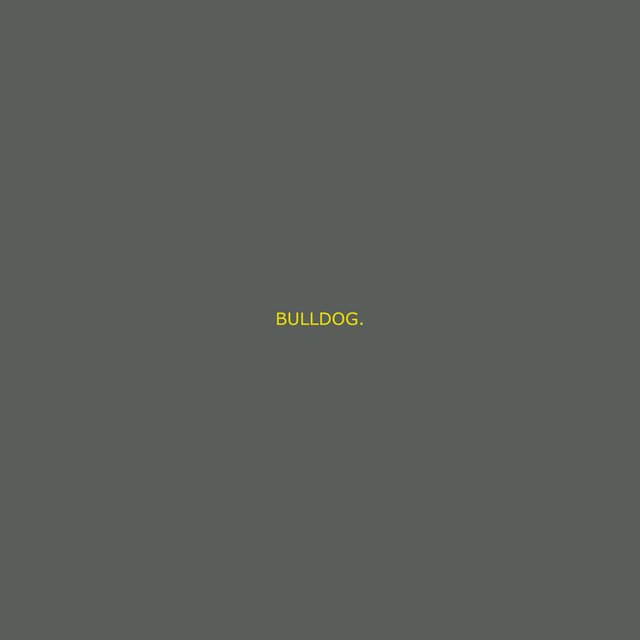 BULLDOG