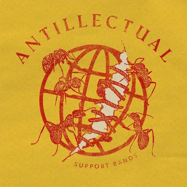 Support Bands