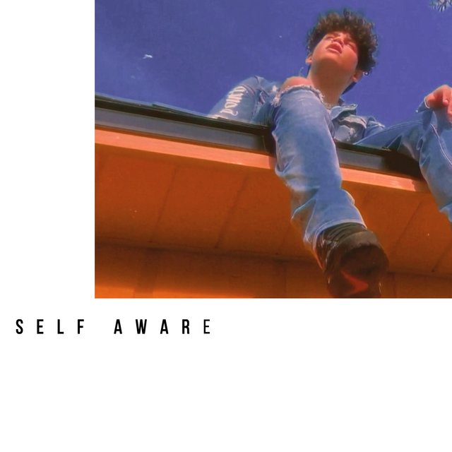 Self Aware