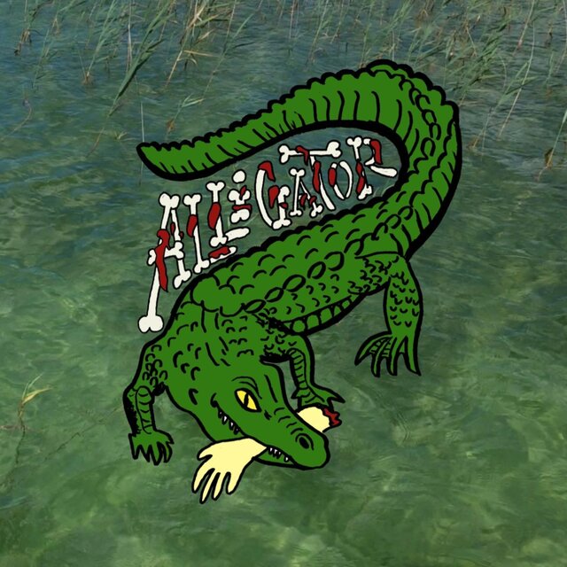 Alligator