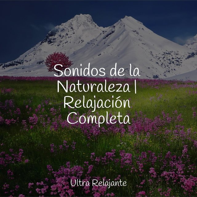 Sonidos de la Naturaleza | Relajación Completa
