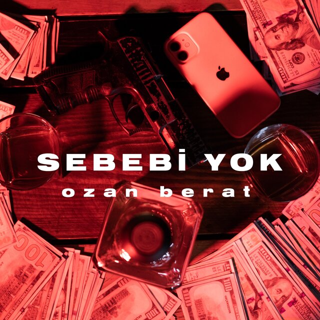 Sebebi Yok