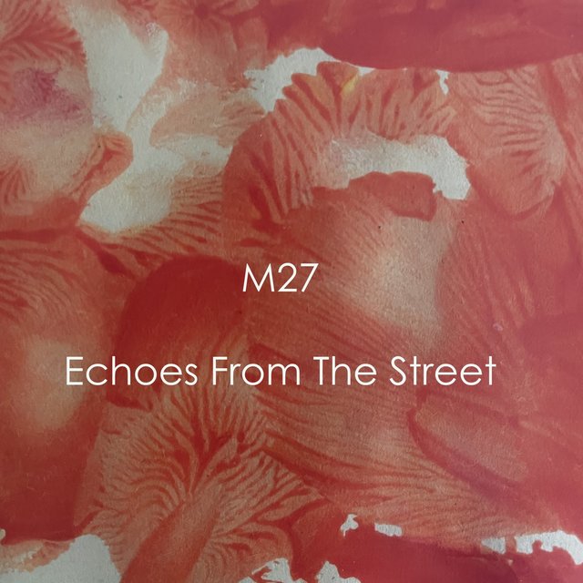 Echoes from the Street