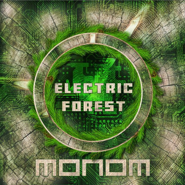 Electric Forest