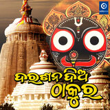 Gadila Gadila Ratha Gadila (Female)