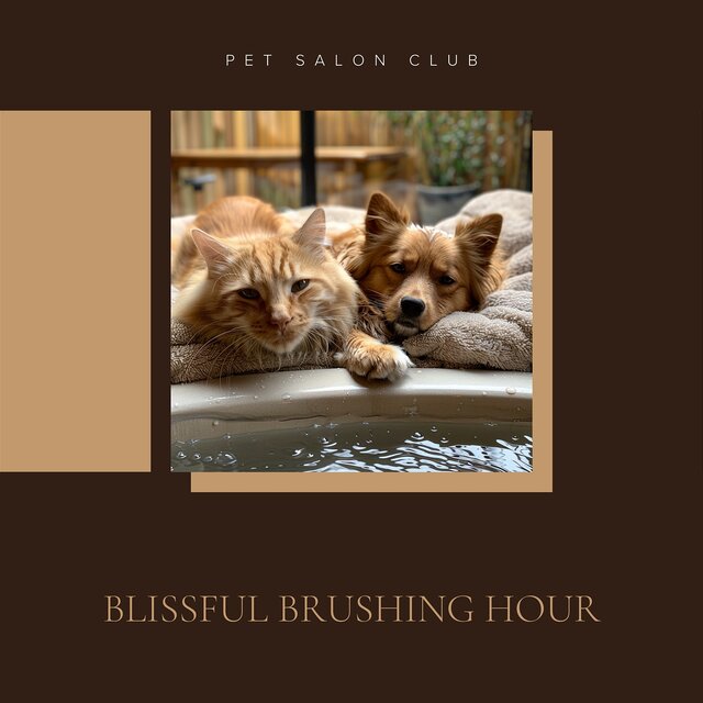 Blissful Brushing Hour