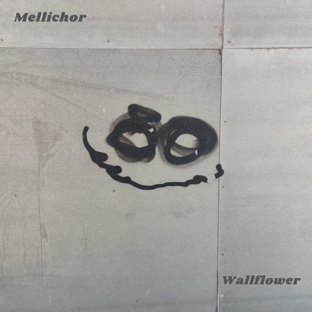 Wallflower