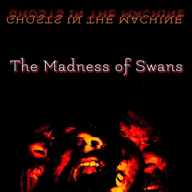 The Madness of Swans (Opening the Gates Version)