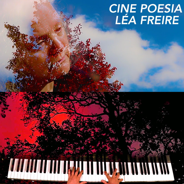 Cinepoesia: Vento Em Madeira
