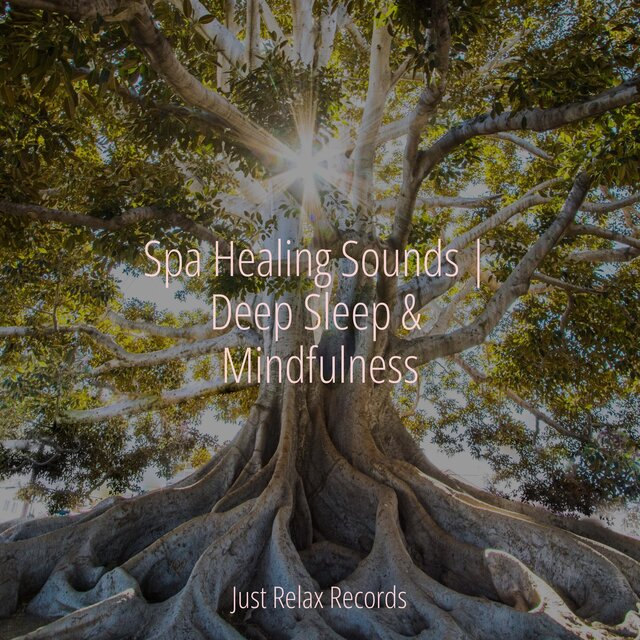 Spa Healing Sounds | Deep Sleep & Mindfulness
