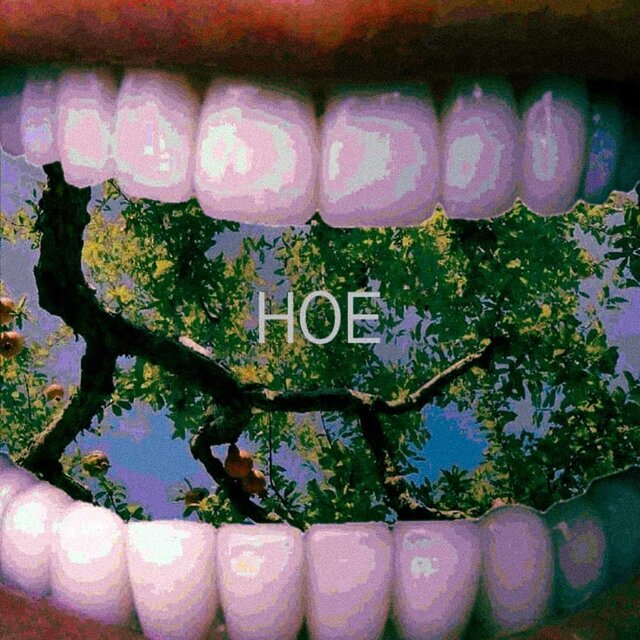 Hoe