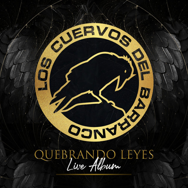 Quebrando Leyes