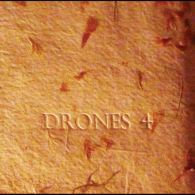 Drones 4