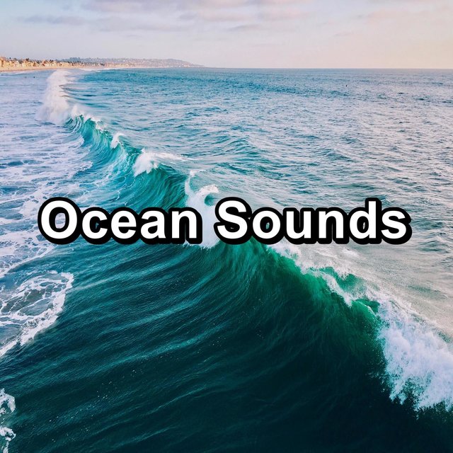 Ocean Sounds