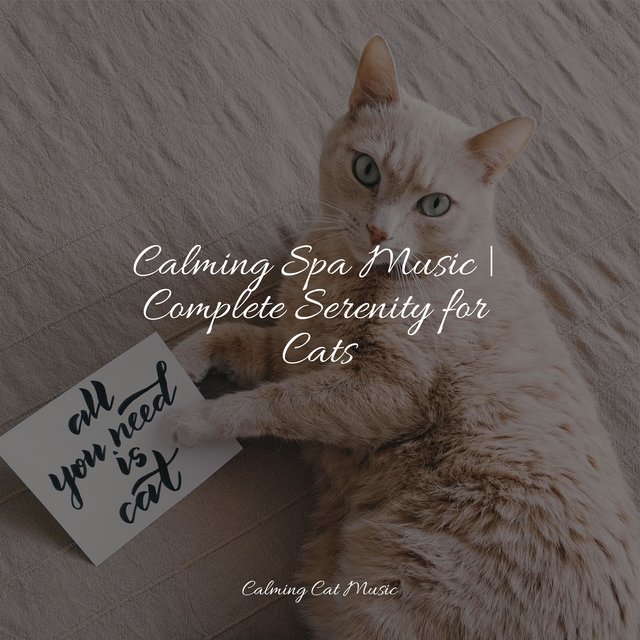 Calming Spa Music | Complete Serenity for Cats