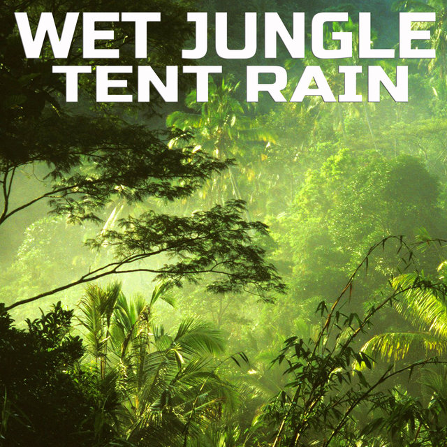 Wet Jungle Tent Rain
