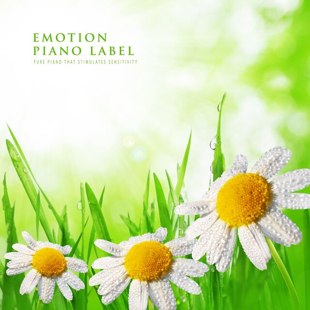Pure Piano That Stimulates Sensitivity