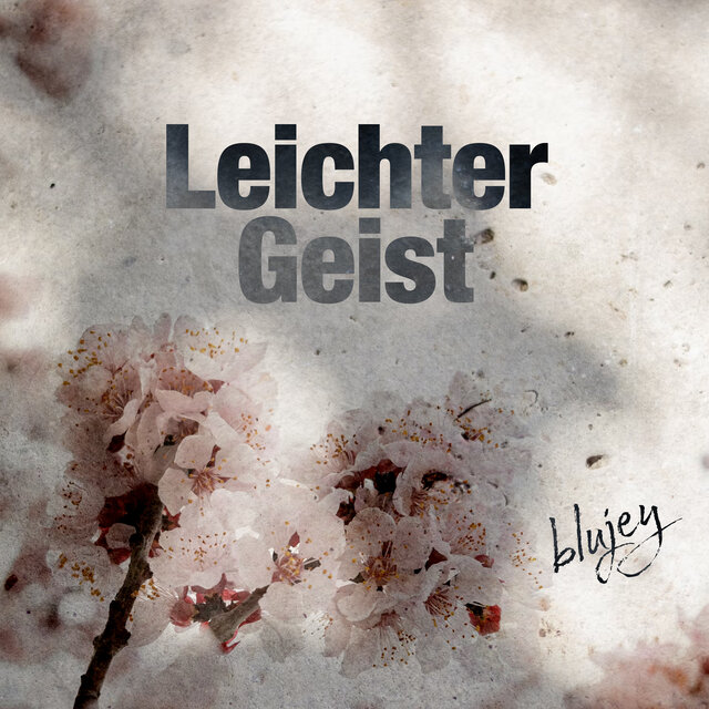 Cover art for album  by Blujey