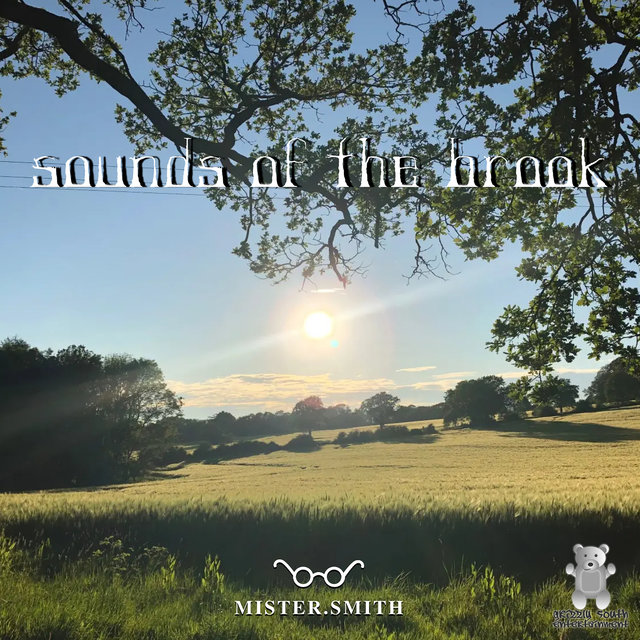Sounds of the Brook