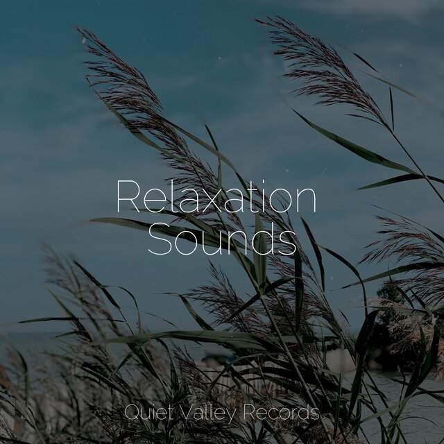 Relaxation Sounds