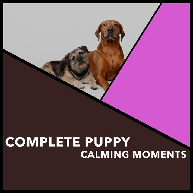 Complete Puppy Calming Moments