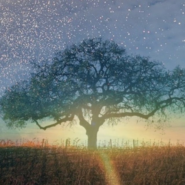 Daydreamer/Stargazer
