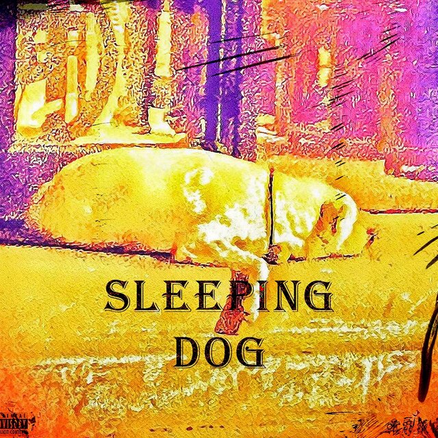 SLEEPING DOG