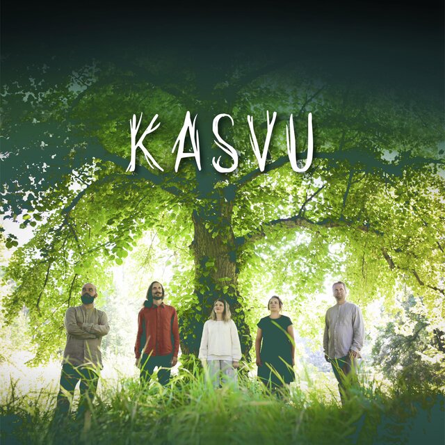 Kasvu