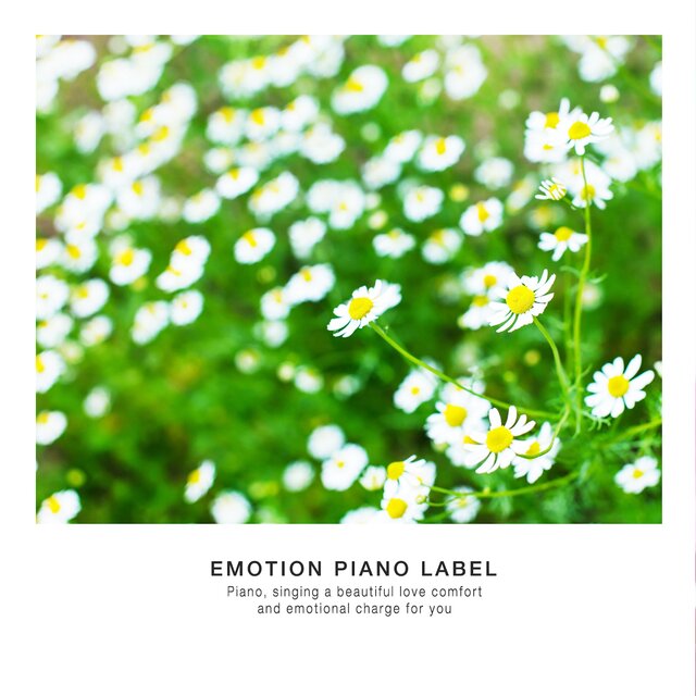 New age piano presents to you for rest