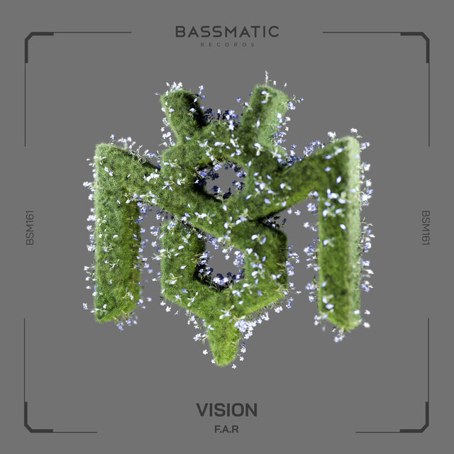 Vision
