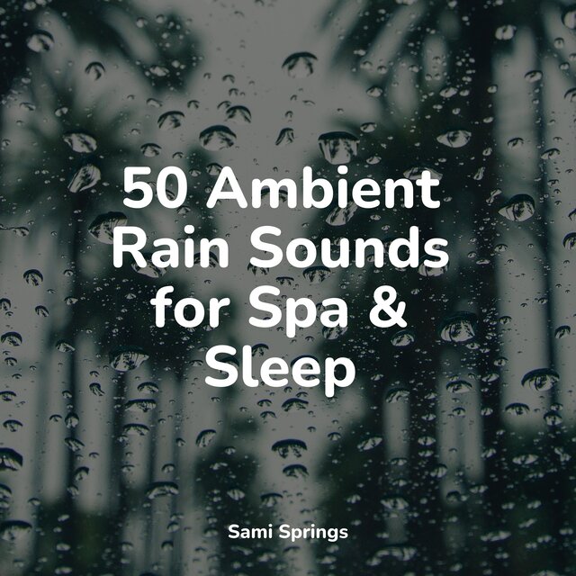 50 Ambient Rain Sounds for Spa & Sleep