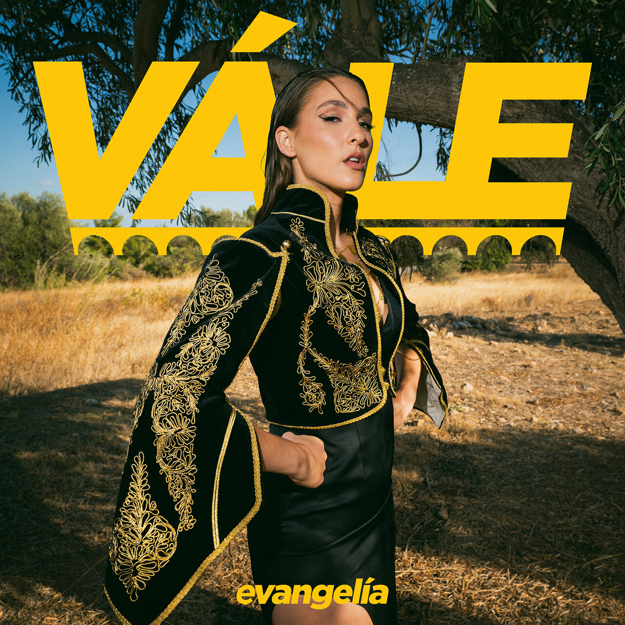 Evangelia — Vále cover artwork