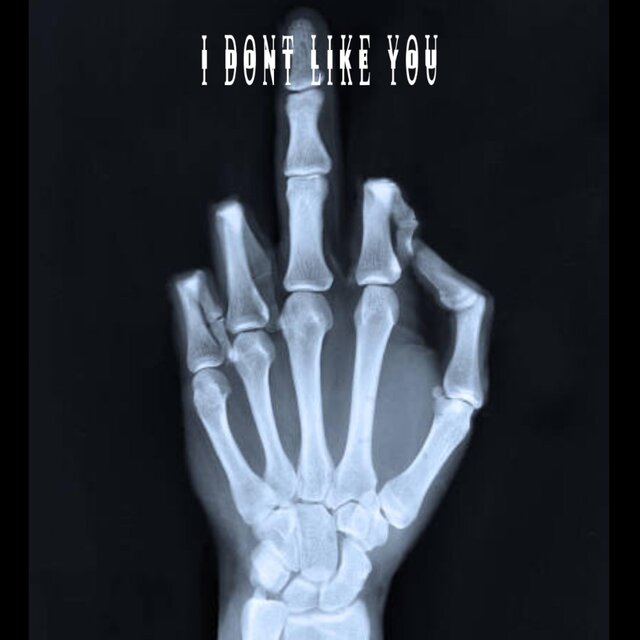I DONT LIKE YOU