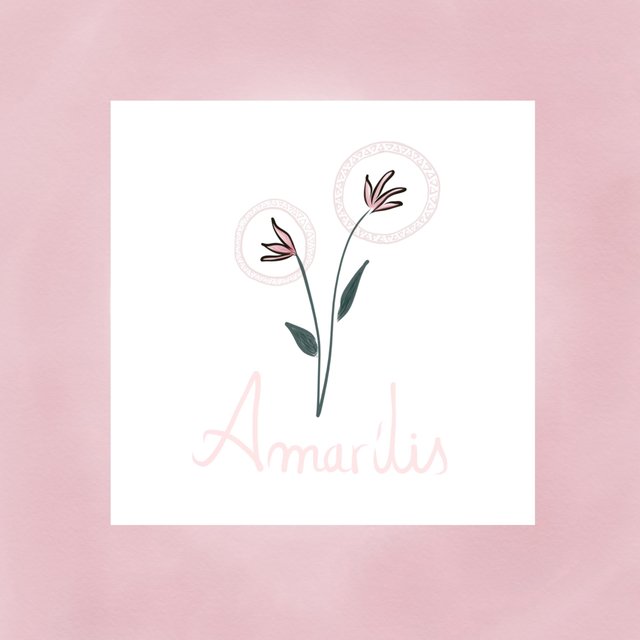 Amarílis