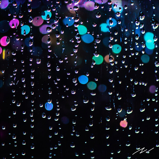 The Rain Persists