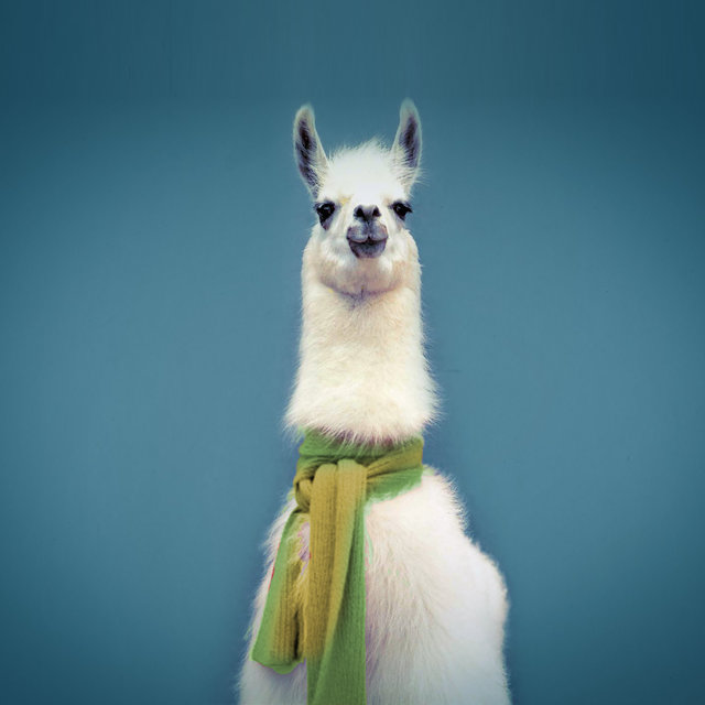 Llama Deep