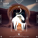 Gold (Extended Mix)