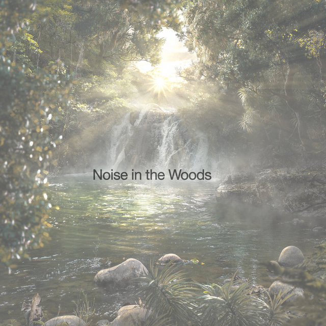 Noise in the Woods