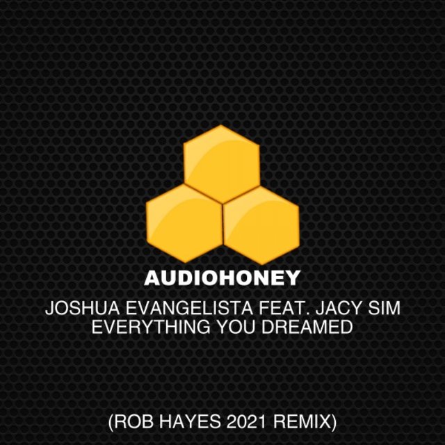 Everything You Dreamed (Rob Hayes Remix)