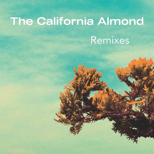The California Almond Remixes