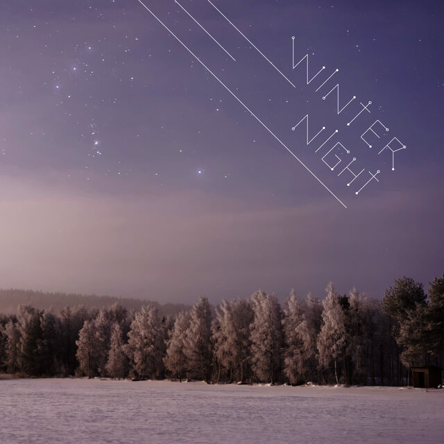 Winter Night