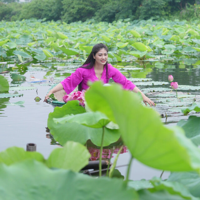 Nature’s Lotus Morning