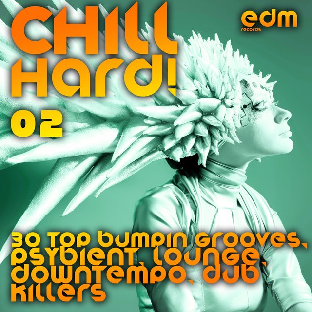 Chill Hard!, Vol. 2 (30 Top Bumpin Grooves, Psybient, Lounge, Downtempo, Dub Killers)
