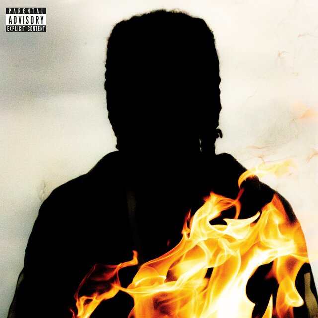 ARSONIST