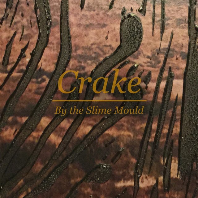 By the Slimemould