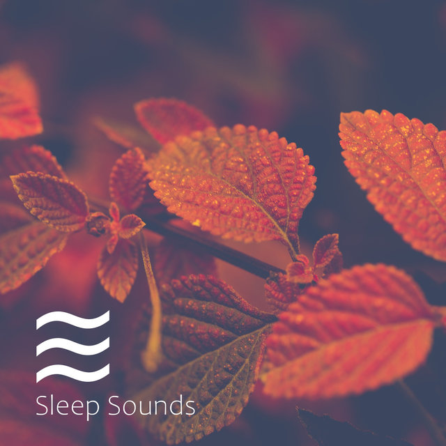 Relief Infants Sleeping Sounds for Sleep Deep