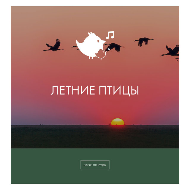 летние птицы